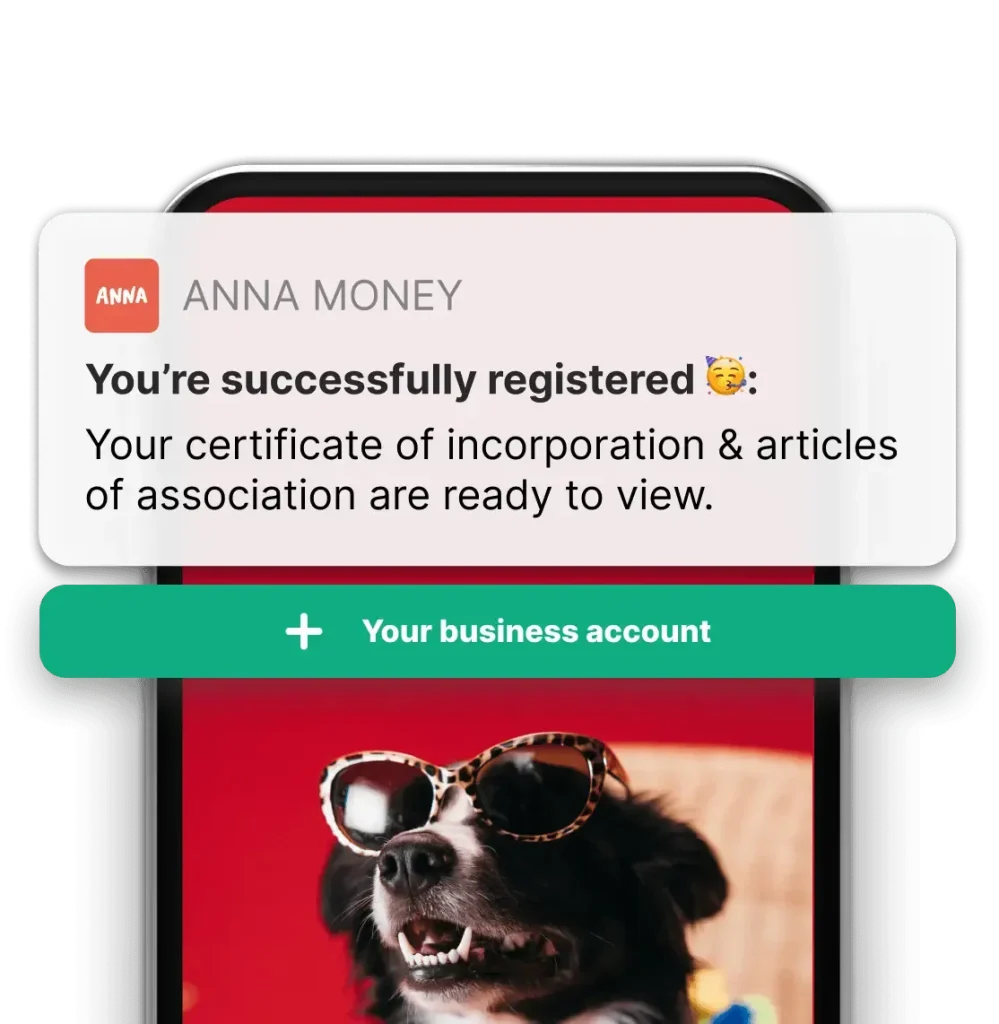 Anna Money Company Formation