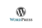 wordpress review