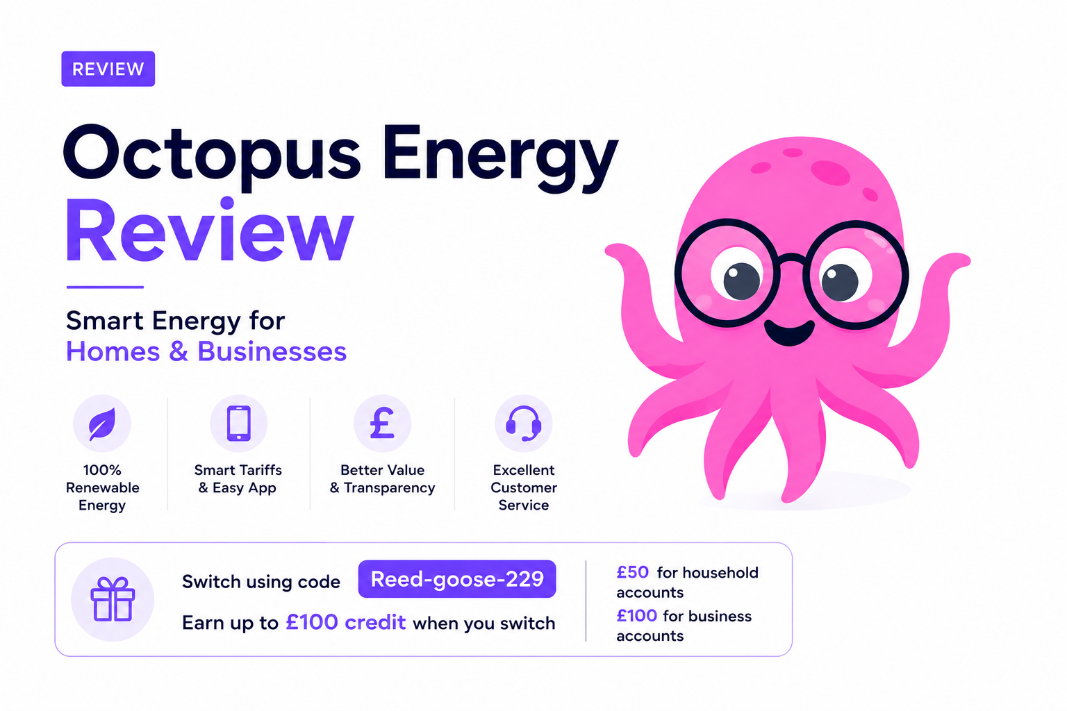 Octopus Energy Review