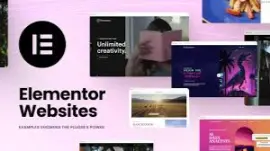 elementor review
